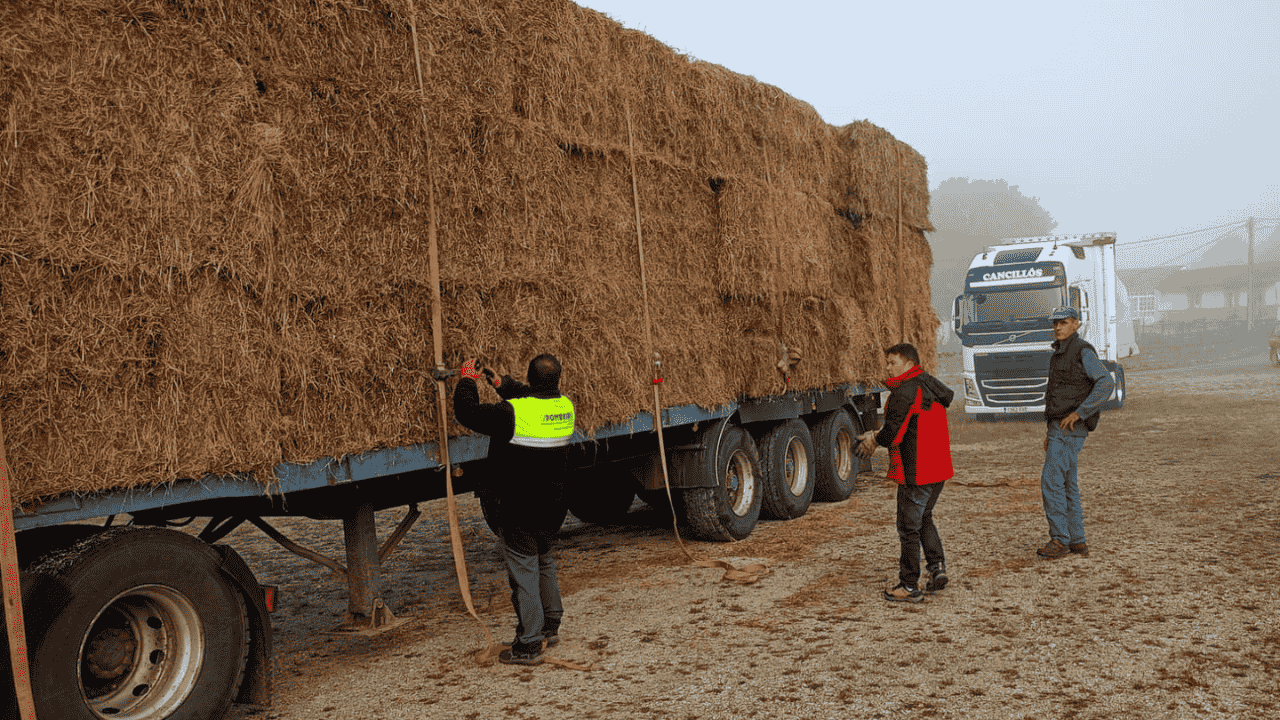 Concello de Cervantes Incendios 2025