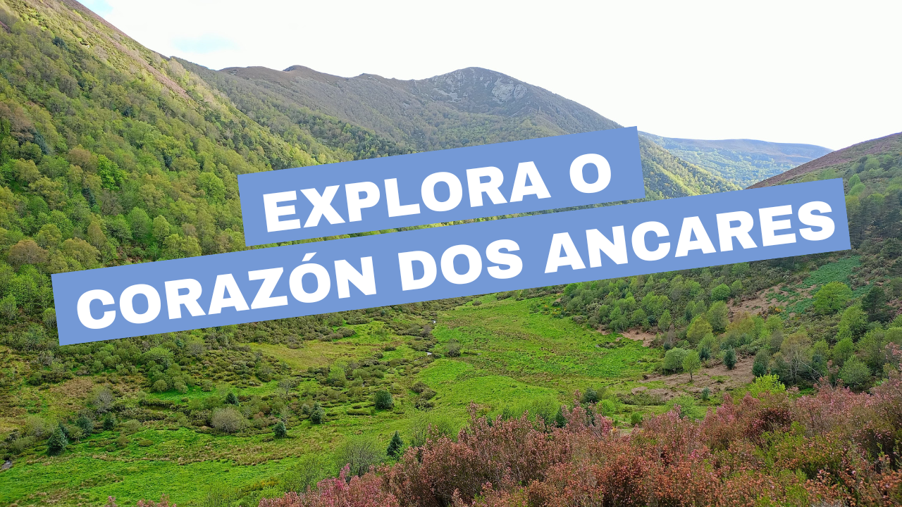 Explorando os Ancares