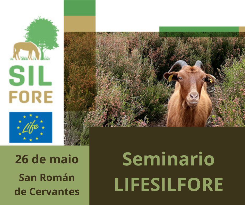LIFESILFORE