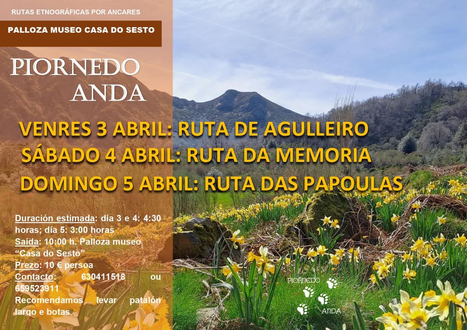 Piornedo Anda 2026 Abril