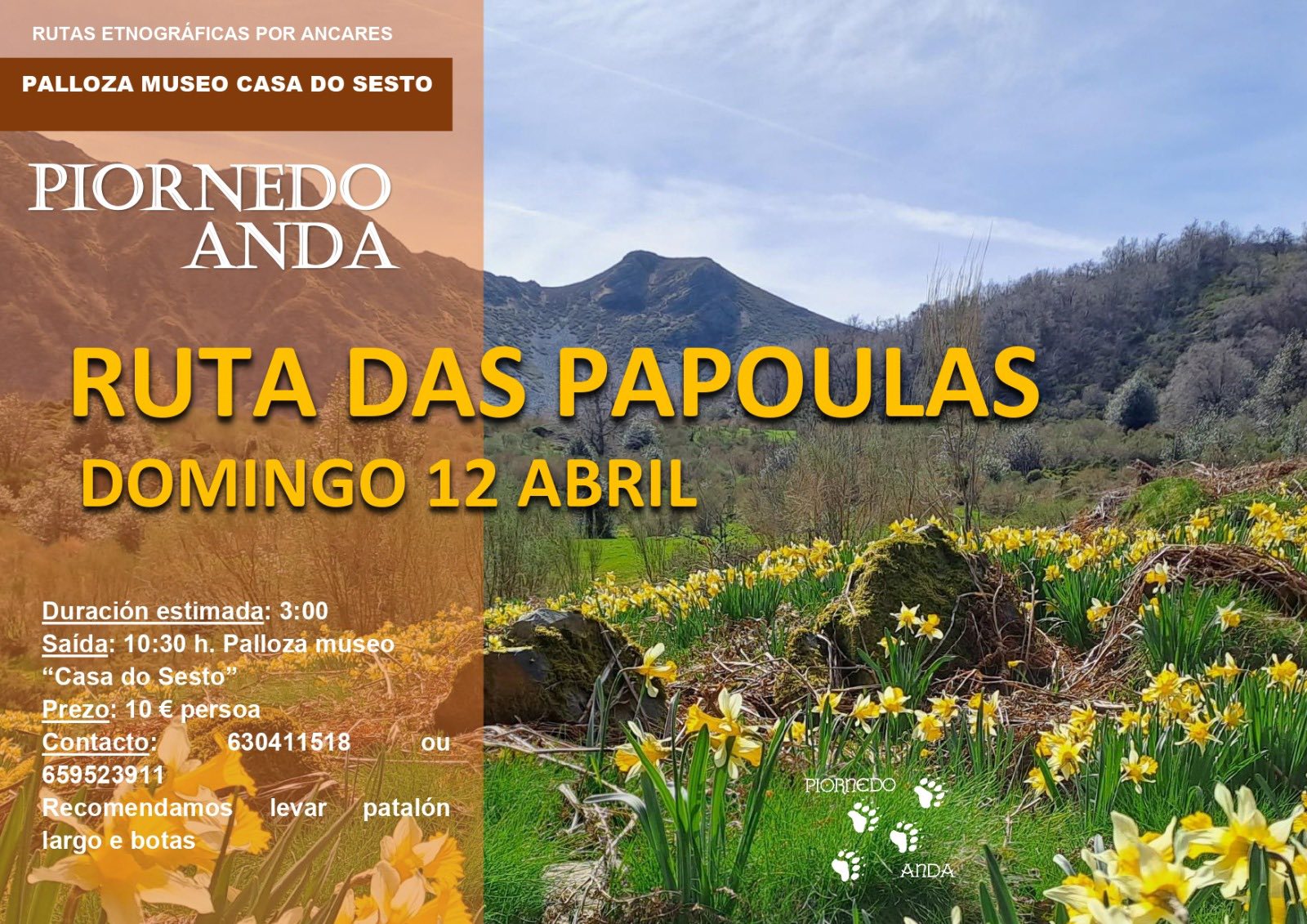 Piornedo Anda - Ruta das Papoulas