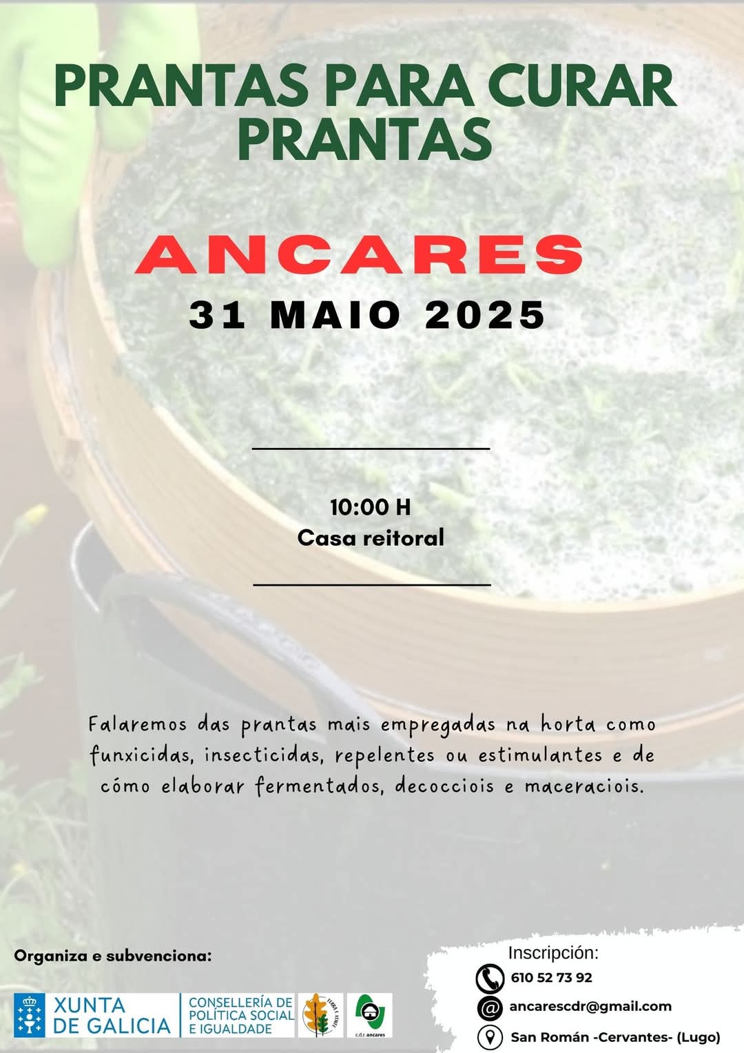 Prantas para curar