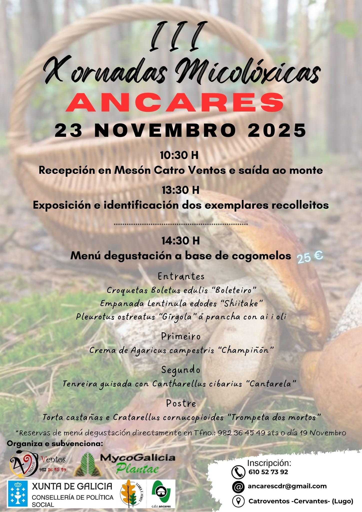 Xornadas Micoloxicas