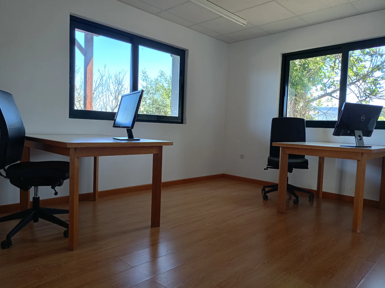 Coworking Cervantes